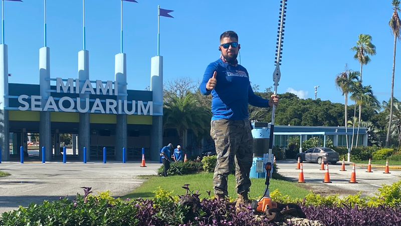 Stars and stripes Landscaping