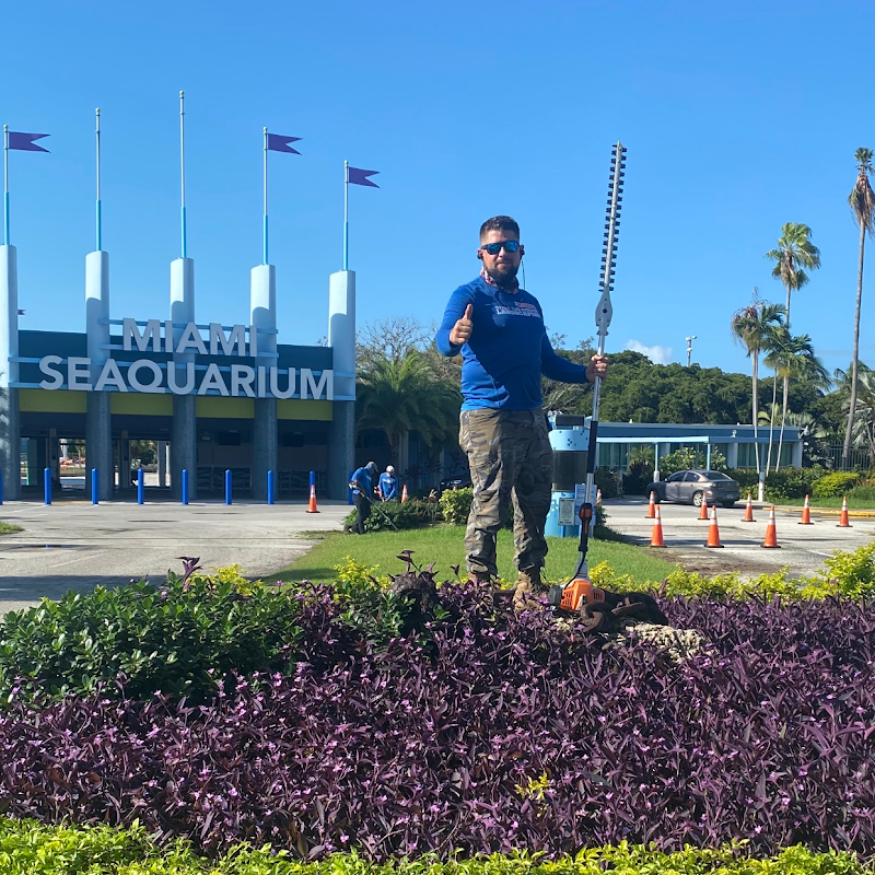 Stars and stripes Landscaping photo