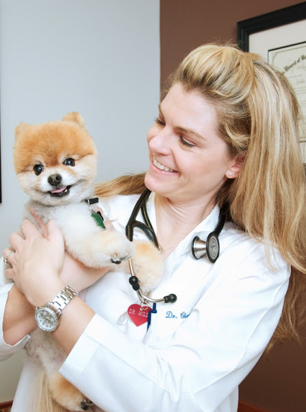 Austin Veterinary Emergency and Specialty