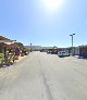 Natural Veterinary Therapy - Veterinarian in Carmel-By-The-Sea