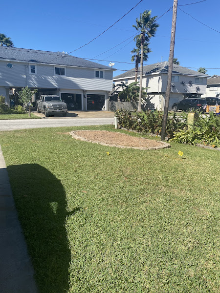 Tree Worxx — Galveston Tree Service