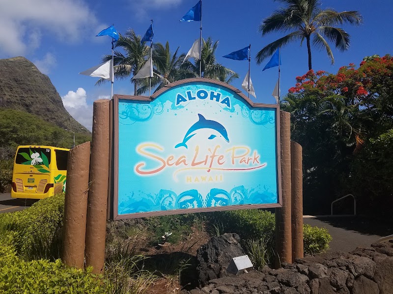 Sea Life Park Hawaii - Tourist attraction in Waimanalo Beach