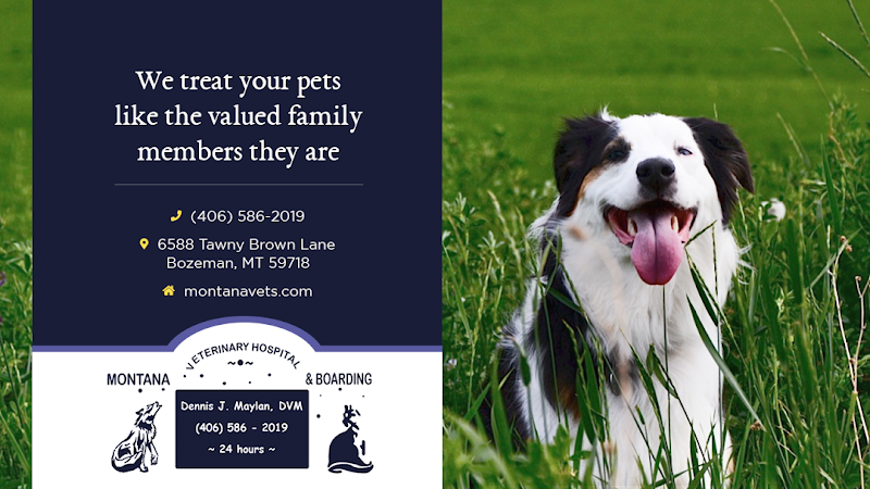 Montana Veterinary Hospital & Boarding