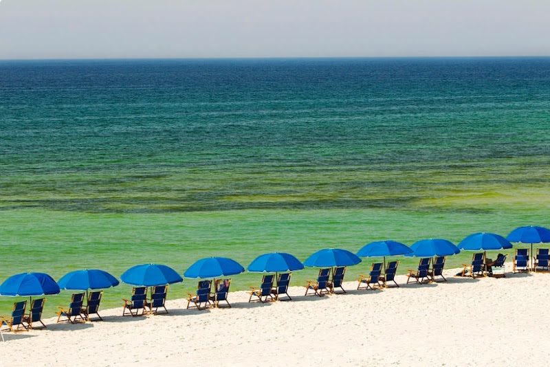 Realty ONE Group Emerald Coast Navarre - Real estate agency in Navarre