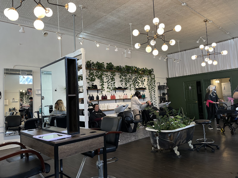 Dandelion Salon
