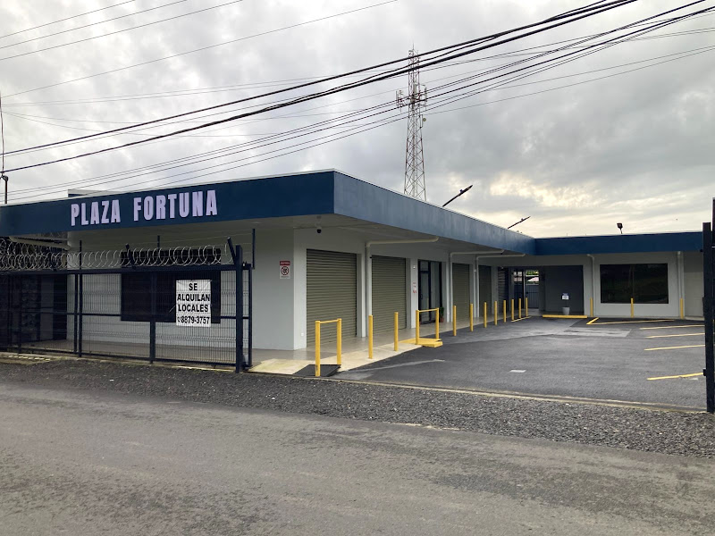 Plaza Fortuna - Shopping mall in C. 444