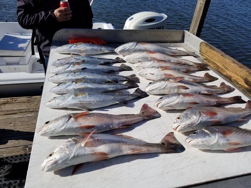 Miss Judy the Charter Boat