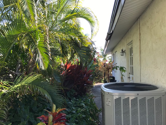 Green World of Key West - Landscape Designer, Landscaping Maintenance Contractor, Lawn Care and Lawn Mowing photo