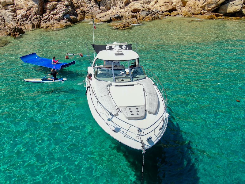 Papillon Yachts Rental - Boat rental service in Centro