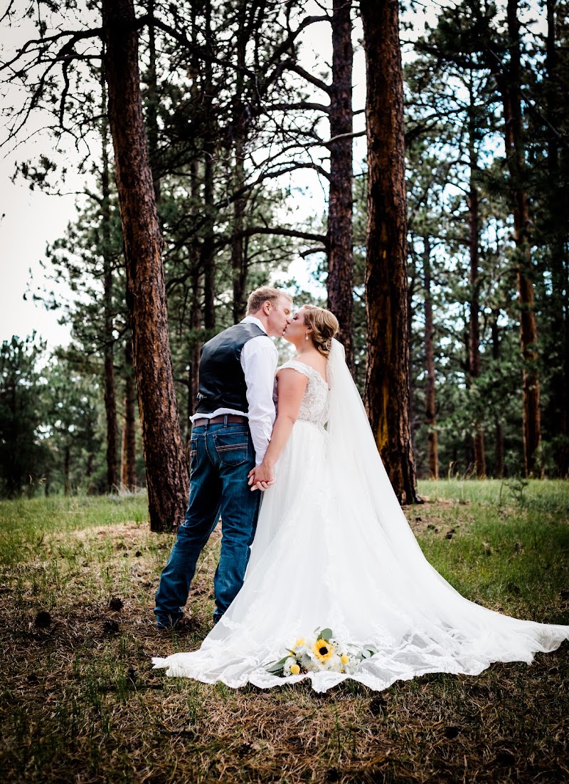 Black Forest Meadows photo