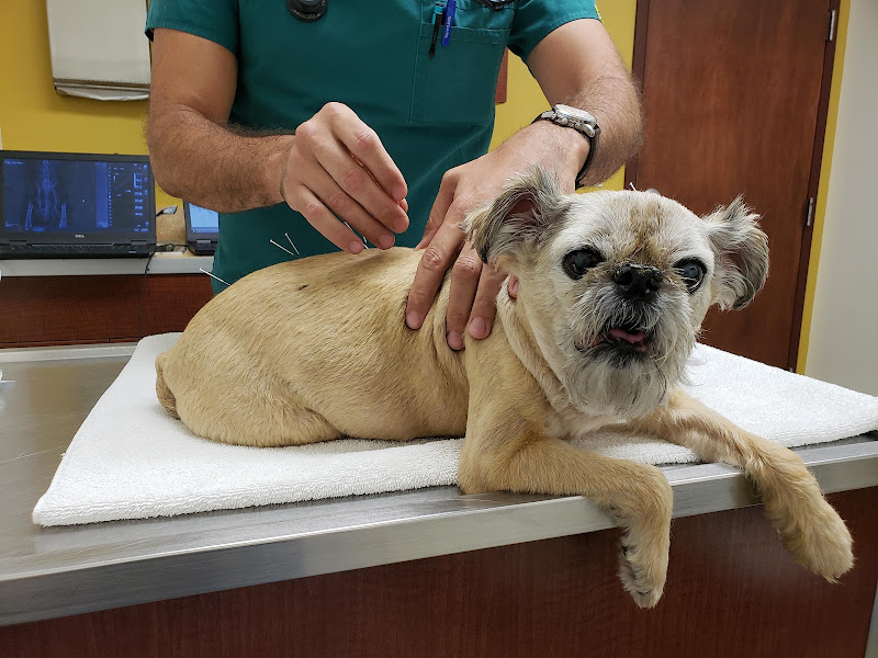 Animal Hospital at Baldwin Park