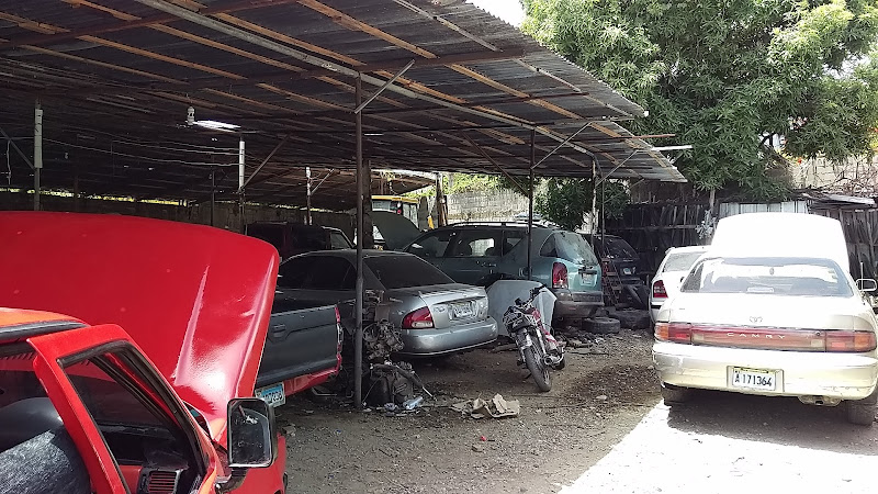 Nino Auto Gas - Auto machine shop in Puerto Plata 57000