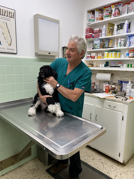 Steadman Veterinary Hospital