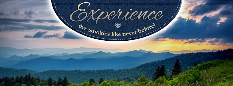 Heritage Cabin Rentals - Vacation home rental agency in Pigeon Forge