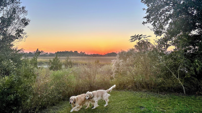 Oceanside Veterinary Clinic - Veterinarian in Charleston