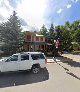 Telluride Tree Services - Tree service in Telluride