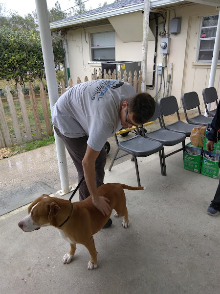 Southeast Volusia Humane Society