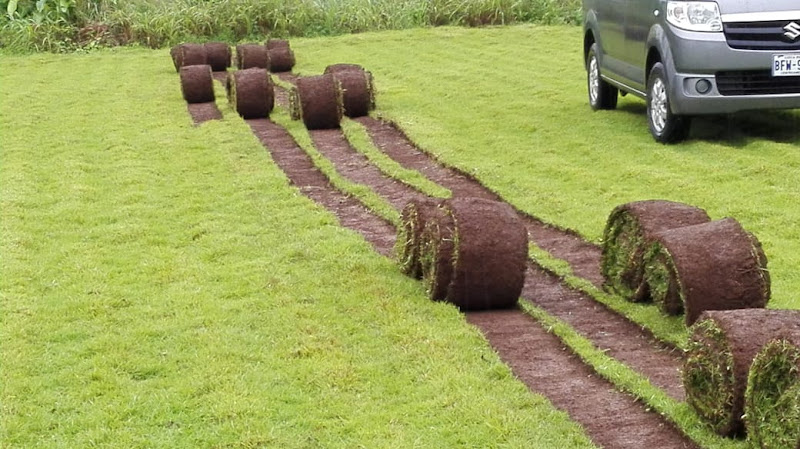 Enzacatadora El Trópico - Landscaper in your area