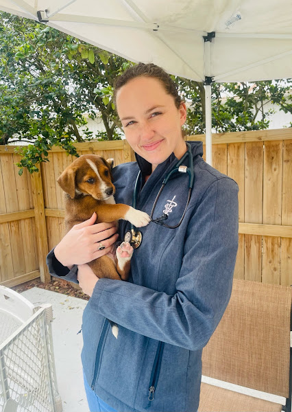 Animal Medical West - Animal hospital in Charleston