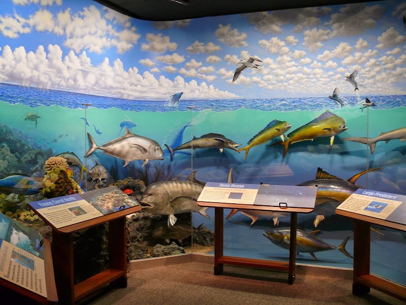 Lyman Museum photo