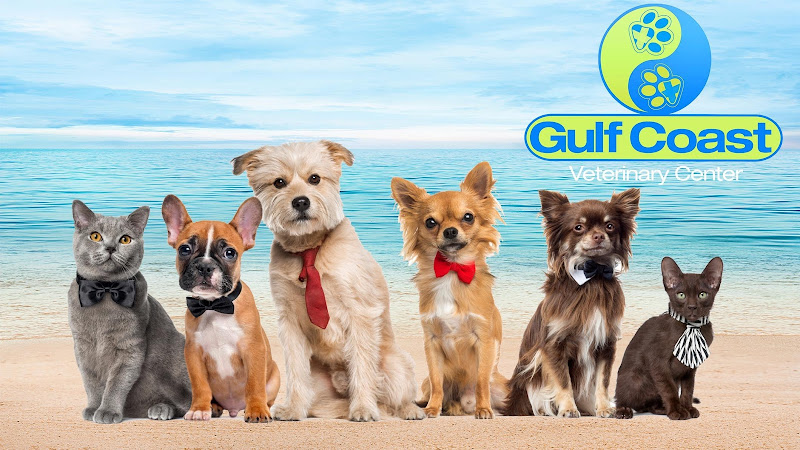 Gulf Coast Veterinary Center of Tampa - Veterinarian in Tampa