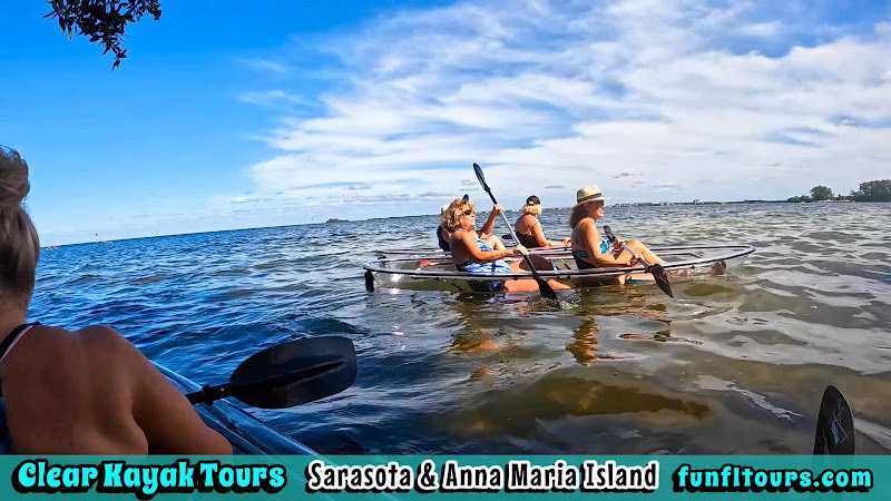 Anna Maria Island Clear Kayak Tours - Canoe & kayak tour agency in Holmes Beach