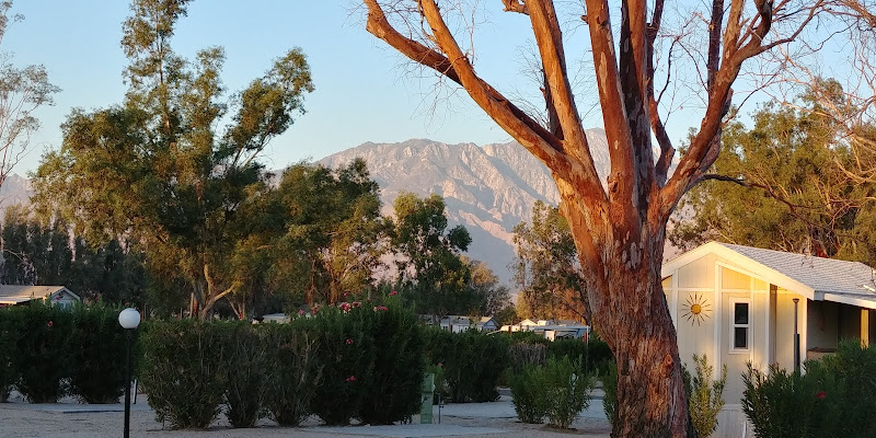 Catalina Spa RV Resort - RV park in Desert Hot Springs
