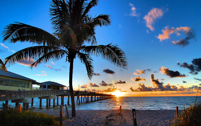 Metro Residential LLC - Property management company in Fort Lauderdale
