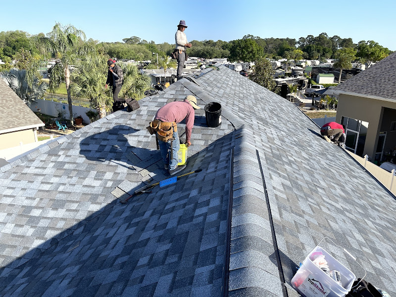 Roof Bear