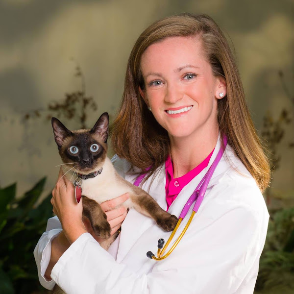 Southside Animal Hospital