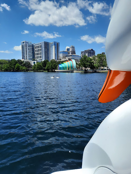 Lake Eola Park Swan Boat Rentals