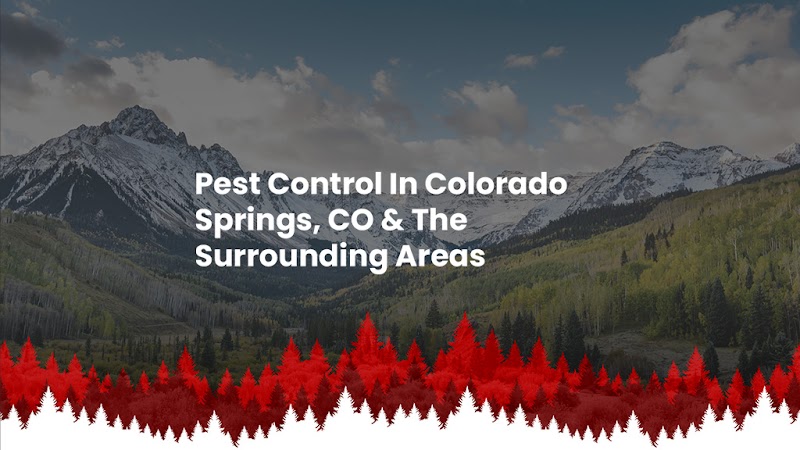 High Country Pest Control - Pest control service in Colorado Springs