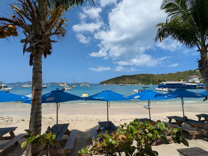 The Beach Bar photo