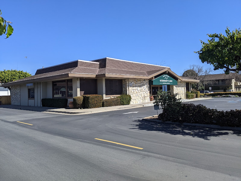 Carmel Holistic Veterinary - Animal hospital in Carmel-By-The-Sea
