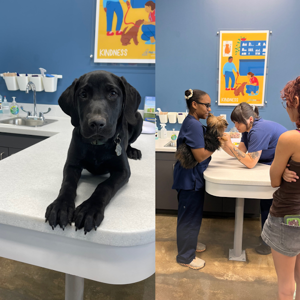 PetWellClinic - Central Phoenix