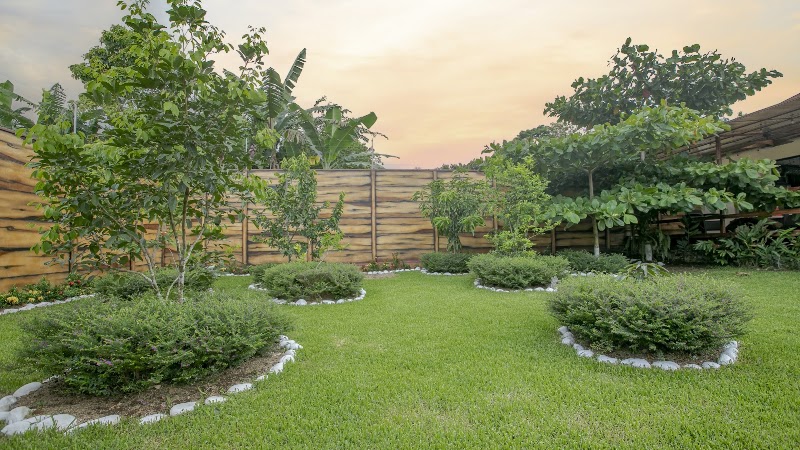 Villa Palmera