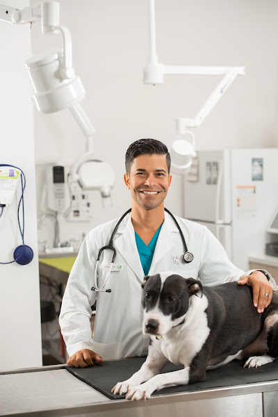 Del Mar Veterinary Hospital