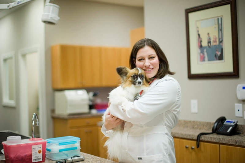 River Oaks Animal Hospital