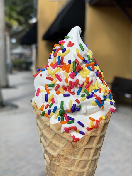 Dreamette Ice Cream Springfield - Ice cream shop in Jacksonville