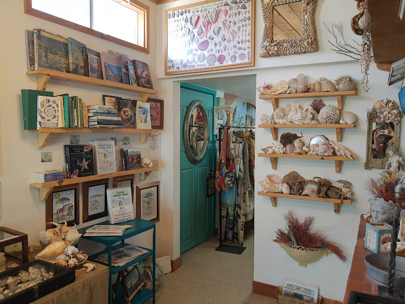 The Seashell Museum at CEDO - Tourist attraction in Fracc