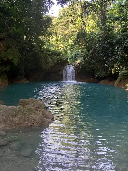 Pacus tours, transfers - Tourist attraction in Jamaica