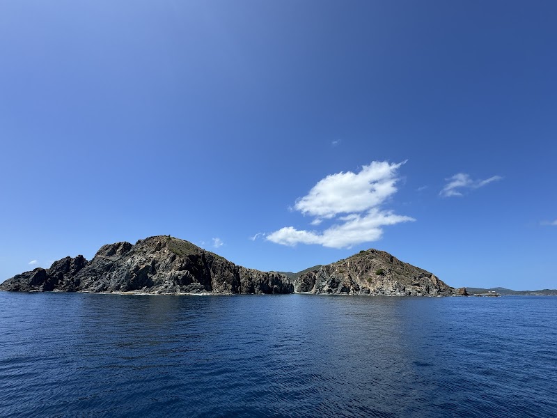 Cruz Bay Watersports photo