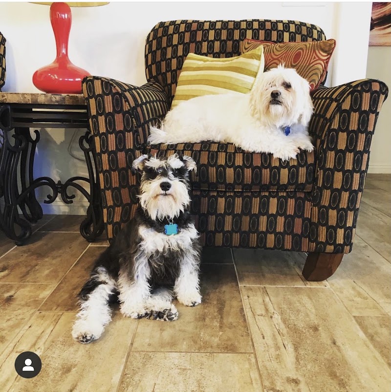 Grand Montecito Animal Hospital - Animal hospital in Las Vegas