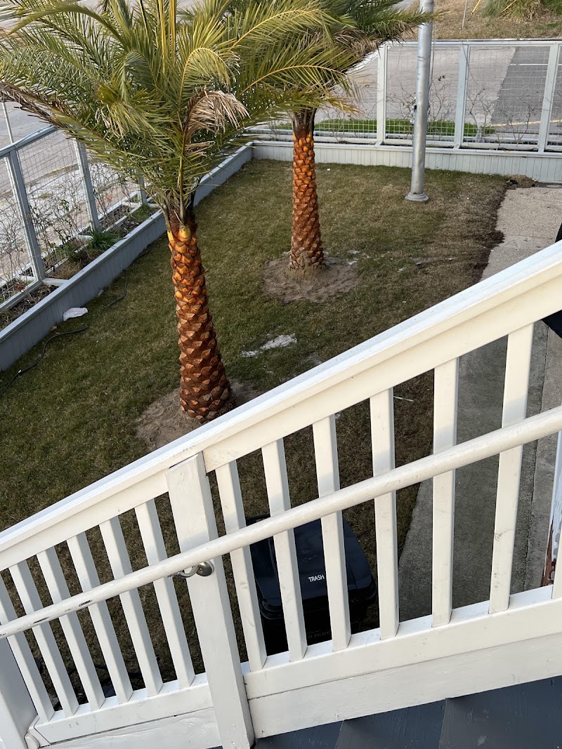 Chateau Lakeside Bed & Breakfast - Bed & breakfast in New Orleans
