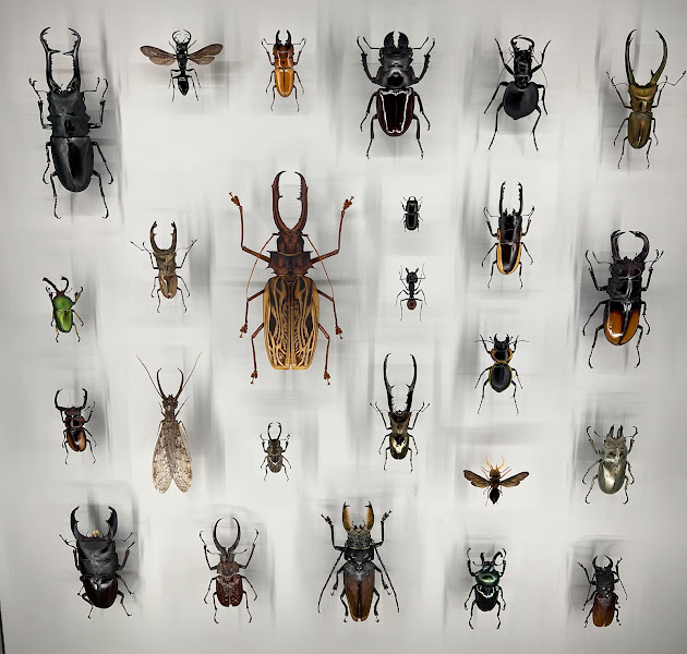 Bugs In Bugs Out - Pest Control - Pest control service in Arco Iris