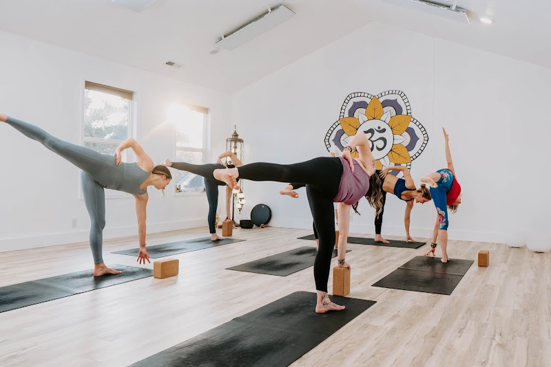 True North Yoga