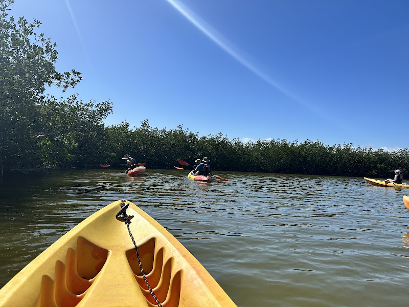 Fin Expeditions | Cocoa Beach's #1 Kayak Company