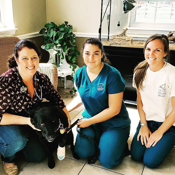 Southeast Veterinary Hospital