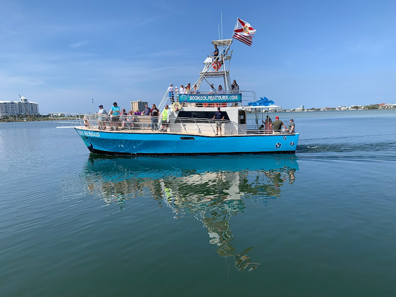 Frisky Mermaid Dolphin Cruises & Pontoon Boat Rentals - Boat rental service in Pensacola Beach
