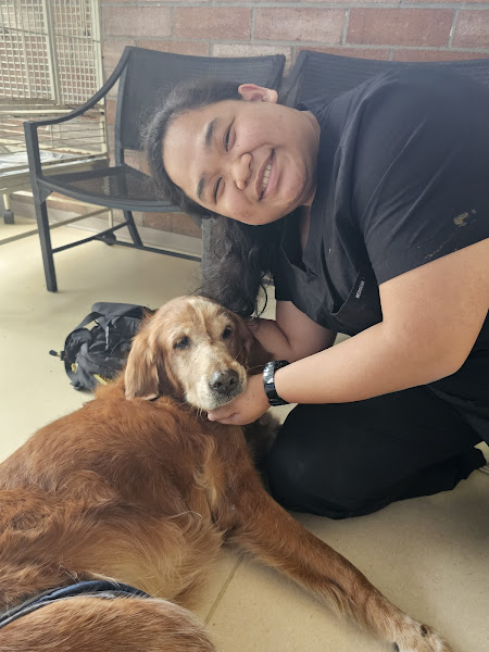 The Pet Clinic